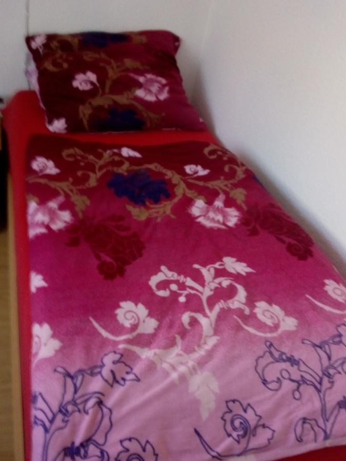 לינדלאר Monteurhotel Garni Alter Olper Hof מראה חיצוני תמונה