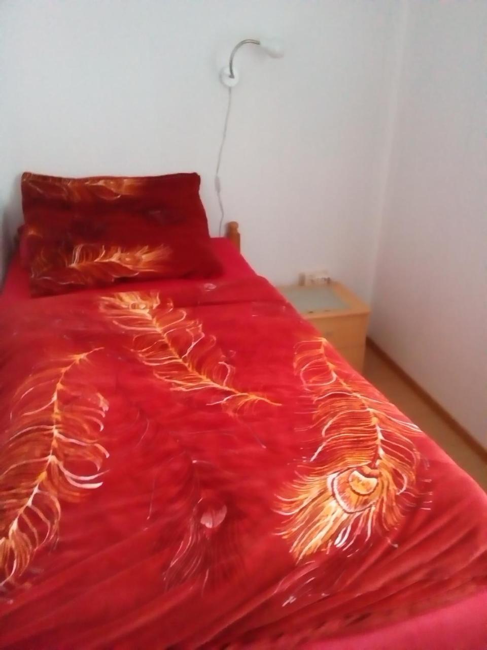 לינדלאר Monteurhotel Garni Alter Olper Hof מראה חיצוני תמונה